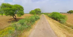 Ujjain, Madhya Pradesh, India preview 2