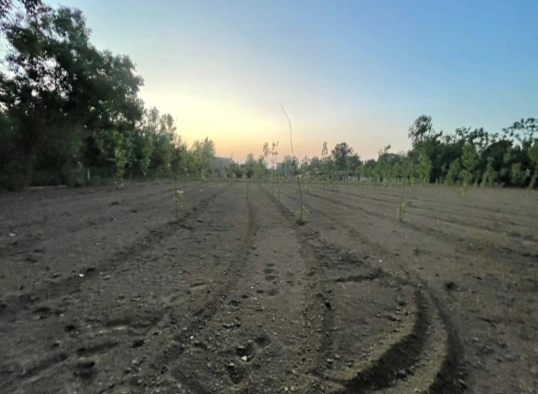 VHM7+9M Nandi Firozpur, Saharanpur, Uttar Pradesh, India