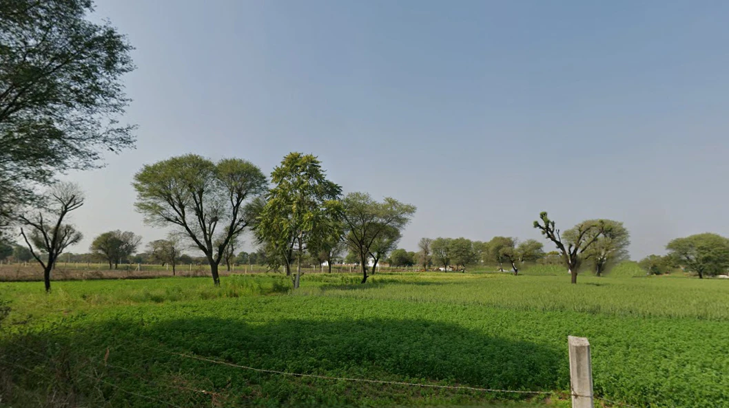 Balekhan, Rajasthan 303712, India