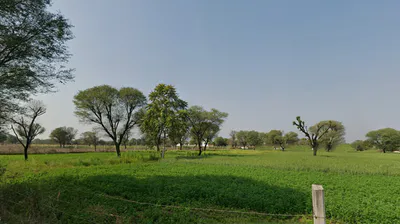 Balekhan, Rajasthan 303712, India preview 2