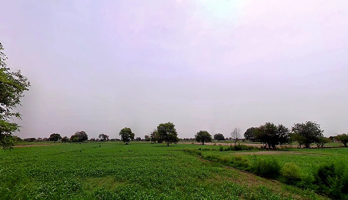 Akbarpur, Uttar Pradesh, India