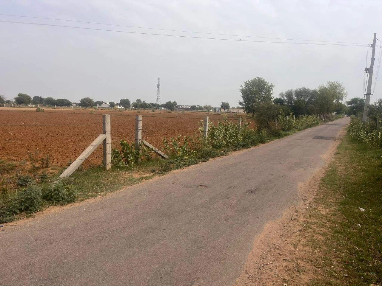 Chaudhari Wali, Haryana 125004, India preview 2