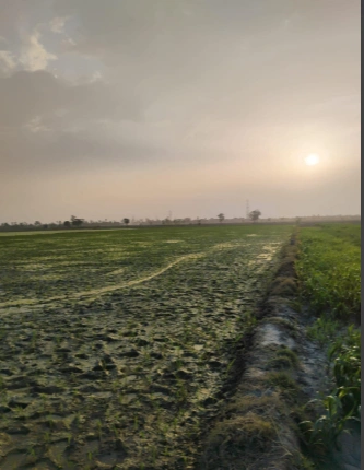 3WXH+92M, Mawana, Uttar Pradesh 250401, India preview 3