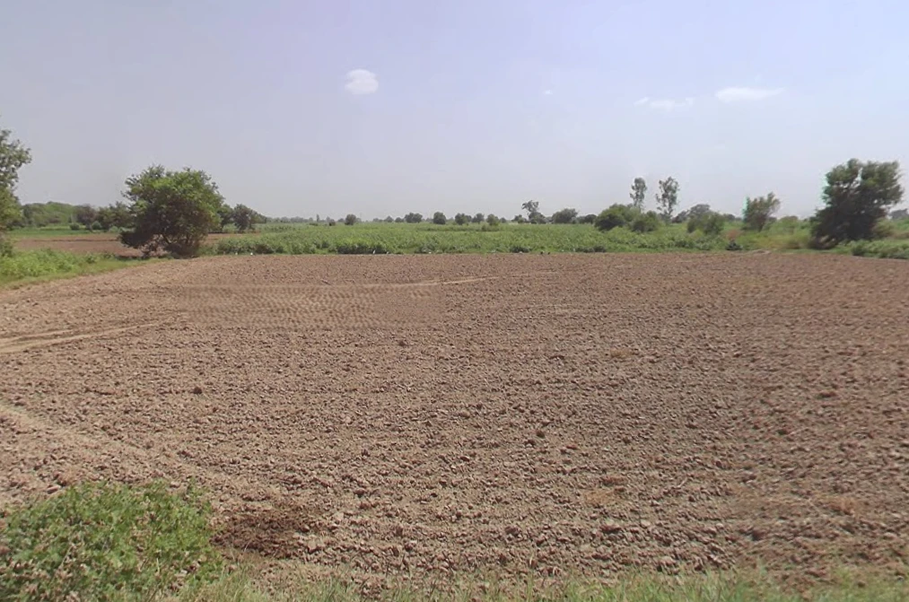 Bawani Khera, Haryana 127032, India