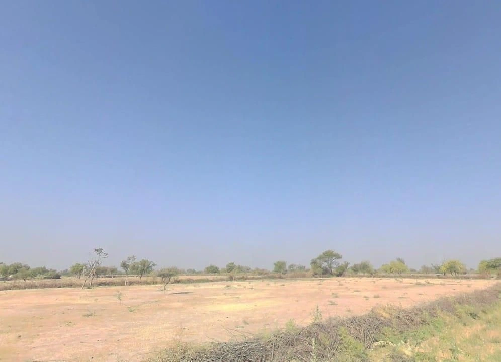 V5VM+XGF, Bandai, Rajasthan 306421, India