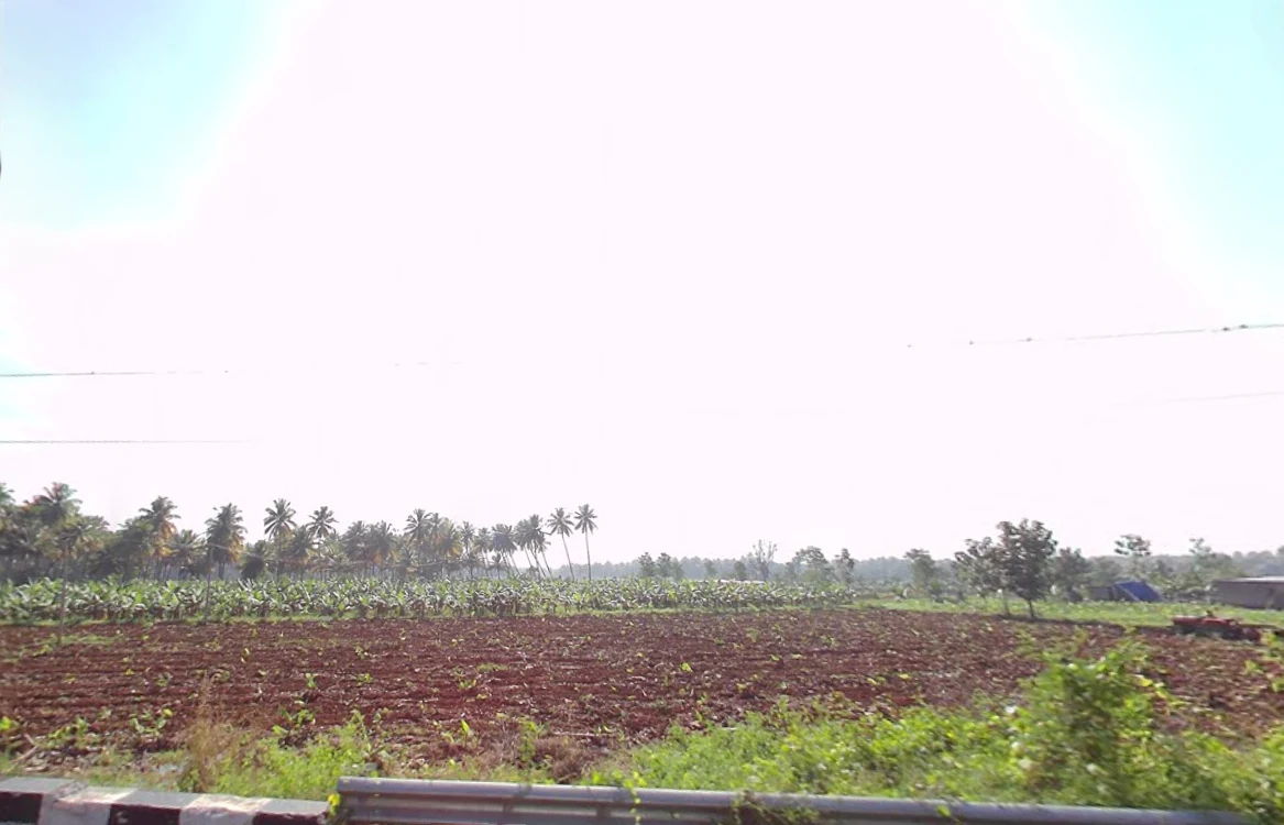 Kumily, Kerala, India