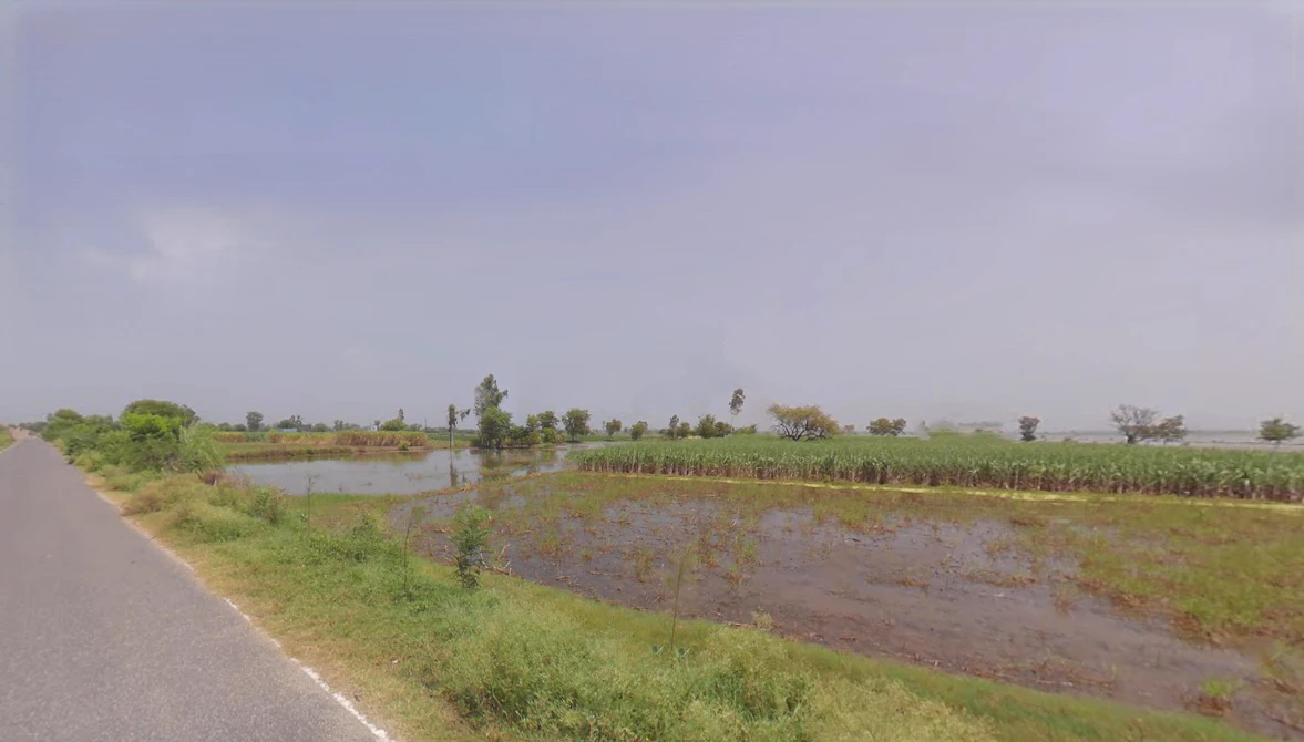 Jassia, Haryana 124303, India