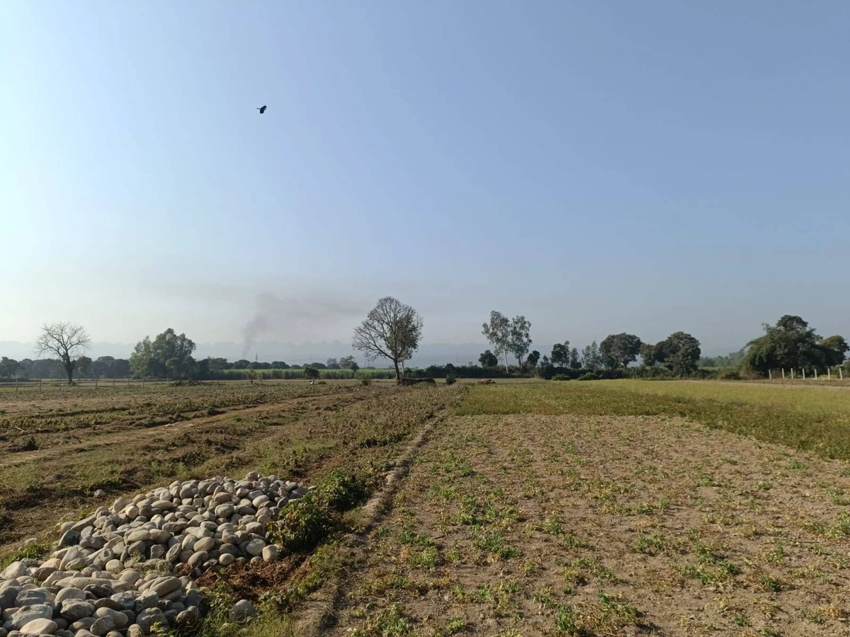 near Fire Station, Mayapur, Haridwar, Uttarakhand 249401, India