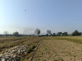 near Fire Station, Mayapur, Haridwar, Uttarakhand 249401, India preview 2