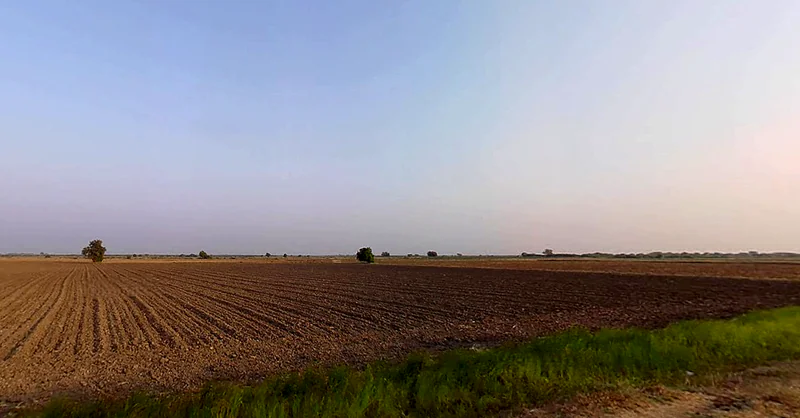 Vijapur, Gujarat, India preview 3