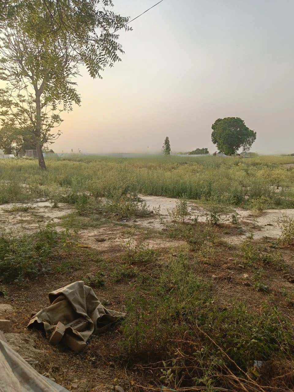Chandauri, Uttar Pradesh, India
