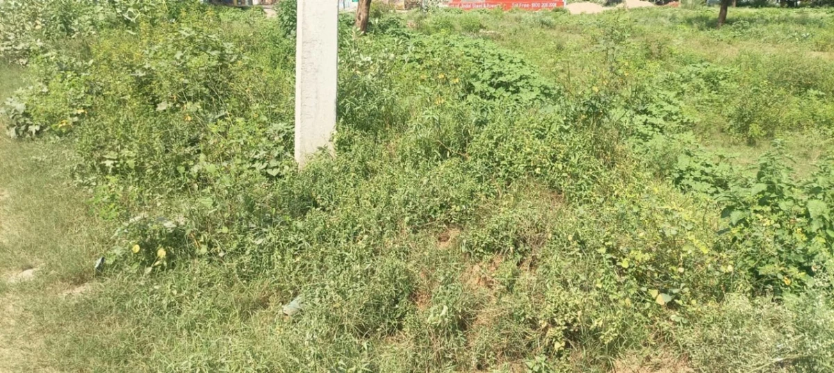 Diggi Malpura Rd, Dada Gurudev Nagar, Sanganer, Jaipur, Rajasthan, India