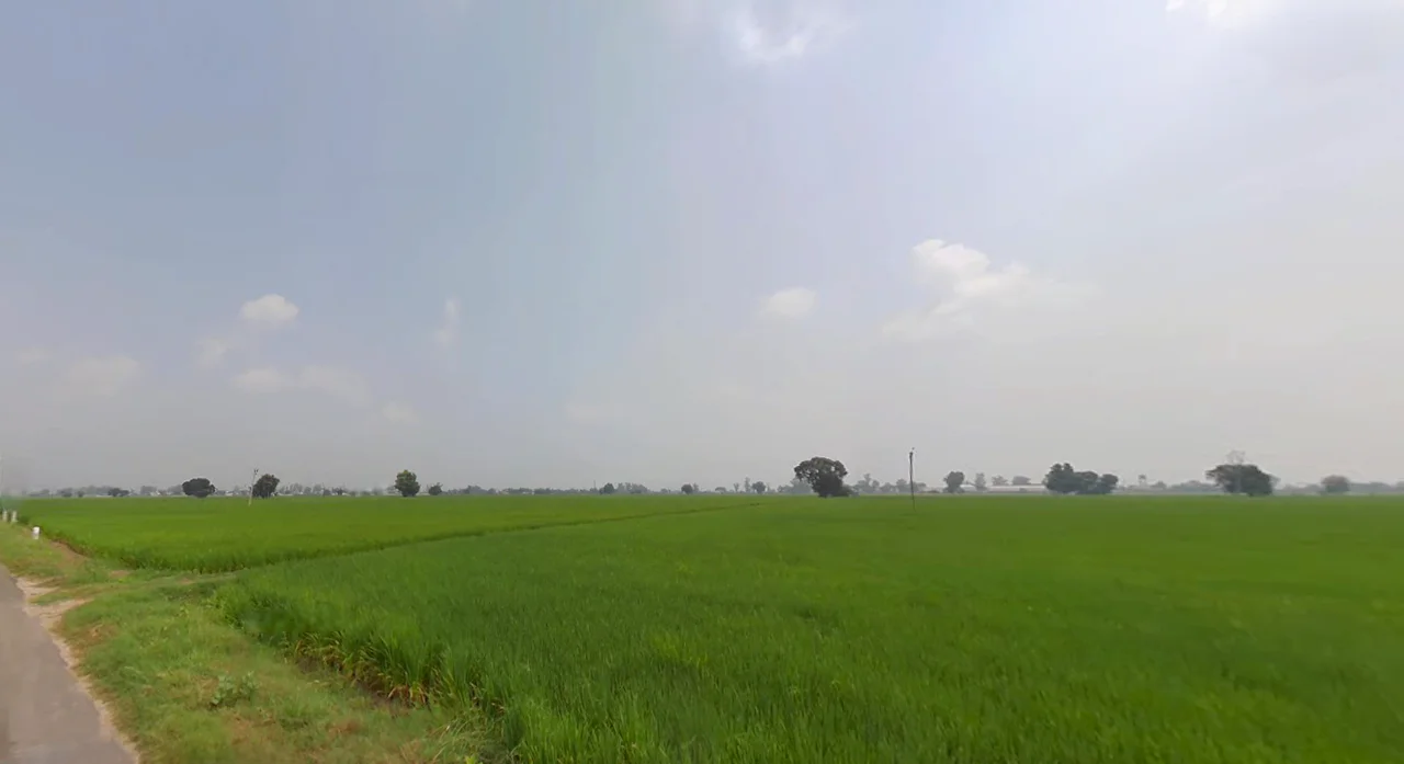 Raisen Rd, Anandnagar, Bhopal, Madhya Pradesh, India preview 3