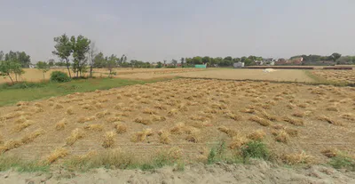 Atrauli, Uttar Pradesh, India preview 3