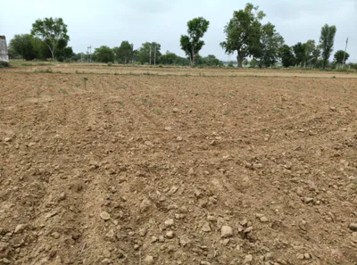 Patana, Gujarat, India preview 3