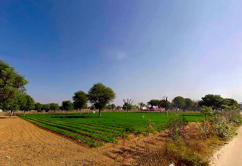 Shri Narayan Niwas, 53, Phulera - Jobner Rd, near Jobner Bypass Road, Kumawat Colony, Macharkhani, Jobner, Machhar Khani, Rajasthan 303328, India preview 2