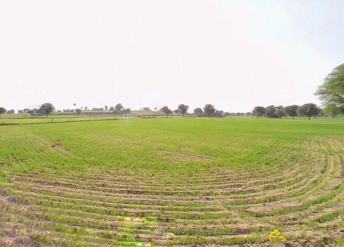 8JF5+Q3Q, Sargoth, Rajasthan 332404, India preview 2