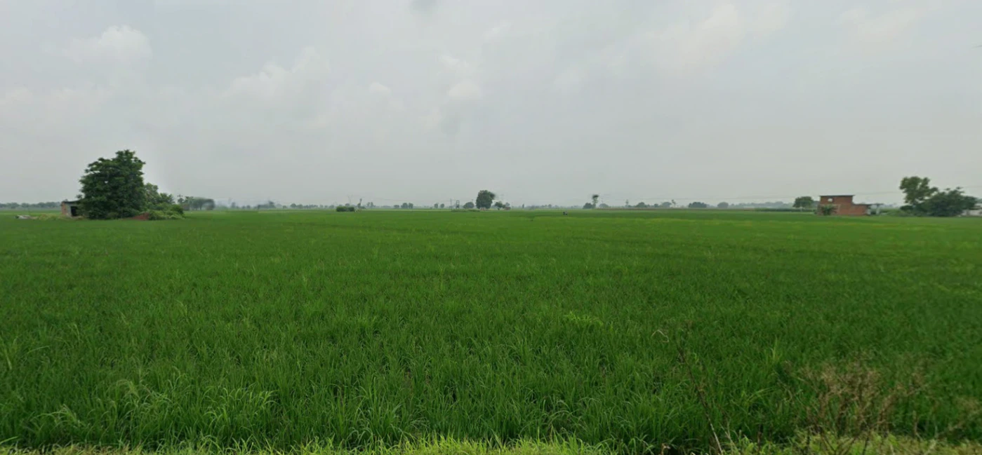 Khanna, Punjab, India