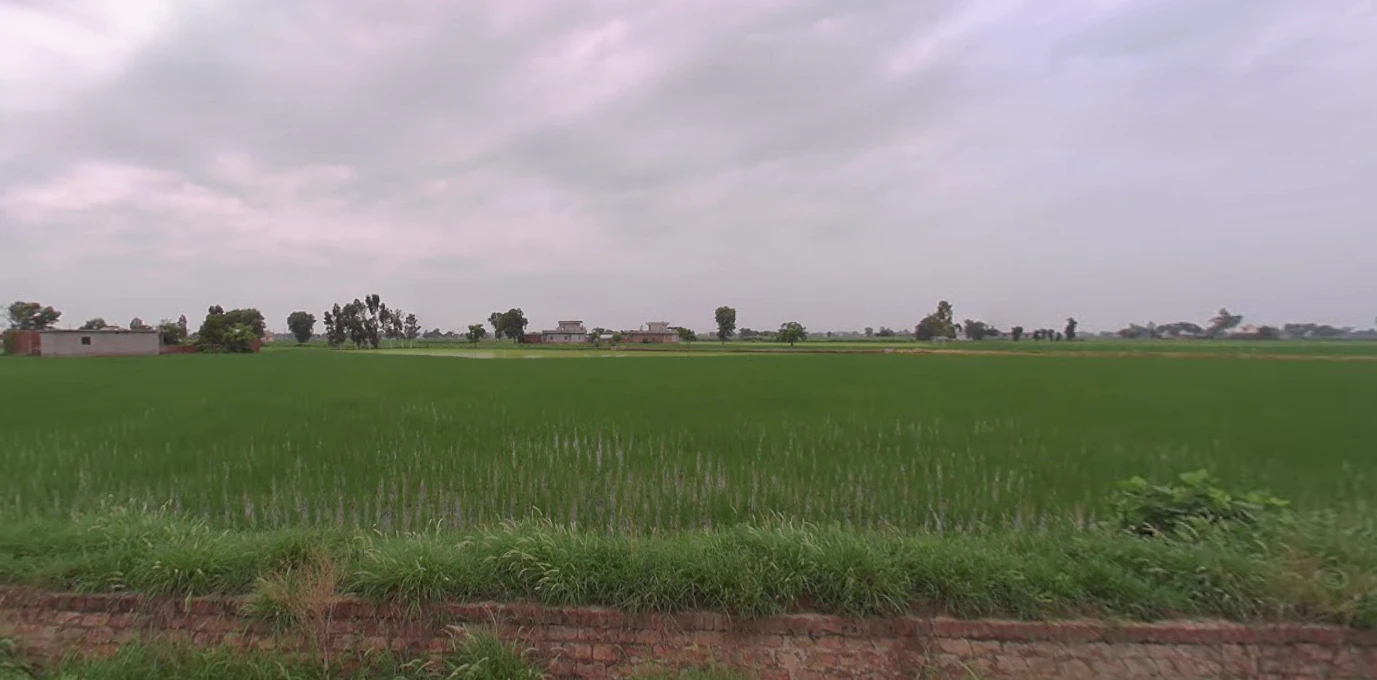 Balachaur, Punjab 144521, India
