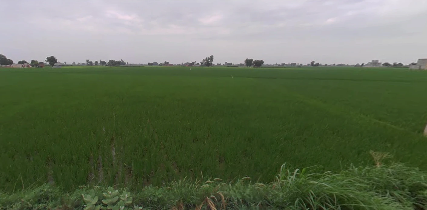 Balachaur, Punjab 144521, India