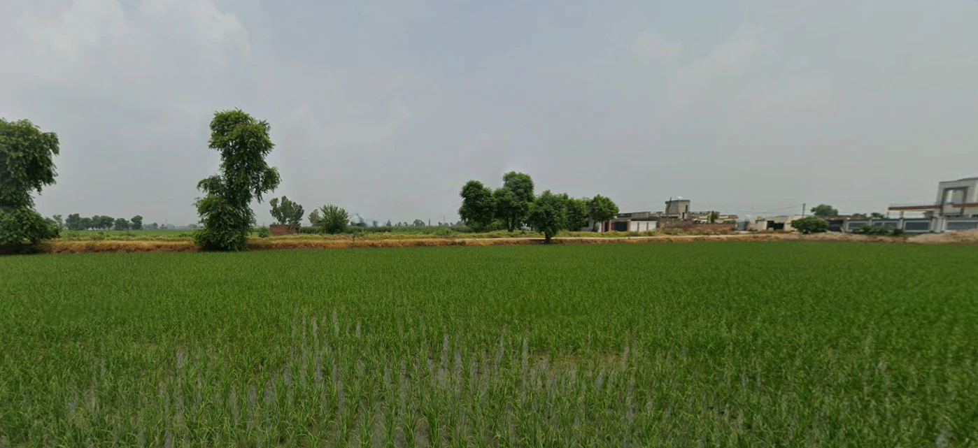 Nurpur Bedi, Punjab 140117, India