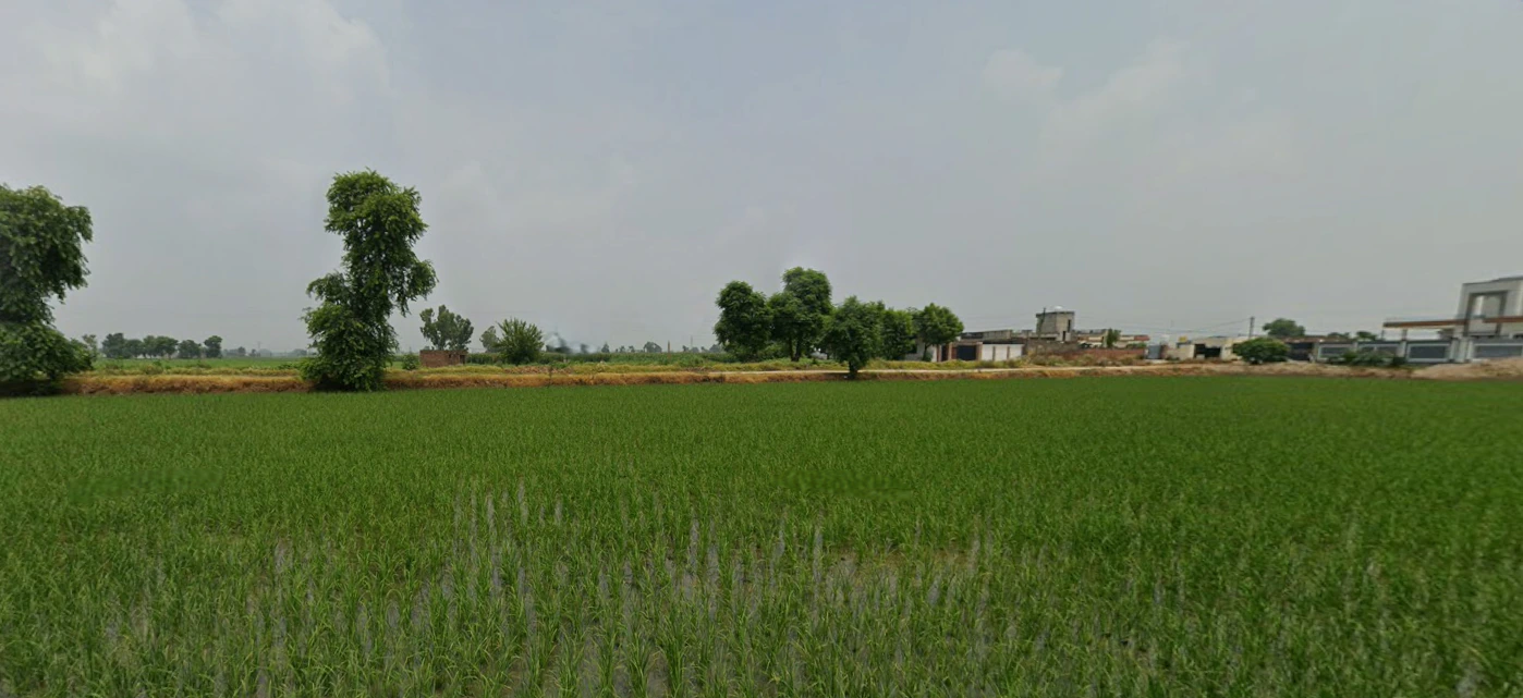 Nurpur Bedi, Punjab 140117, India