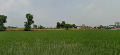 Nurpur Bedi, Punjab 140117, India preview 3