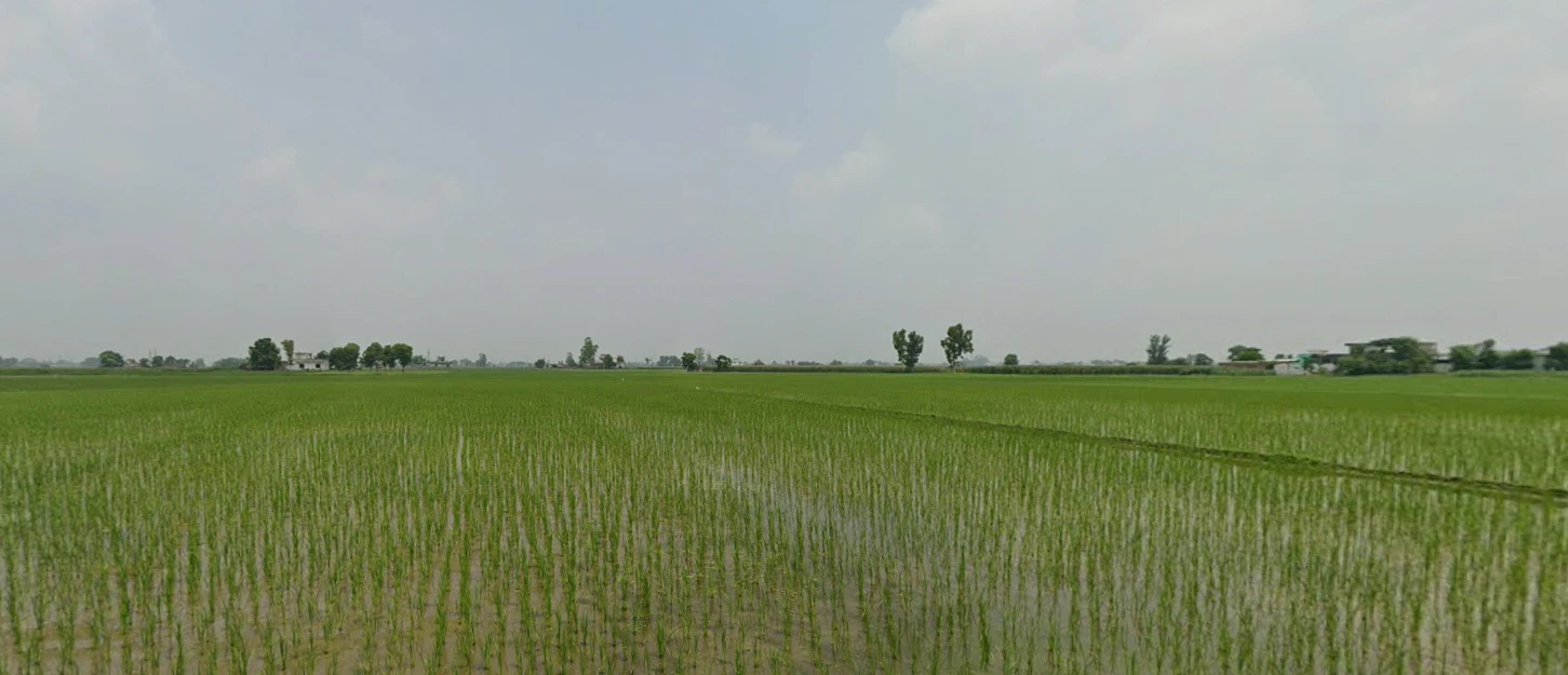 Chandigarh, India