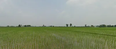 Chandigarh, India preview 3