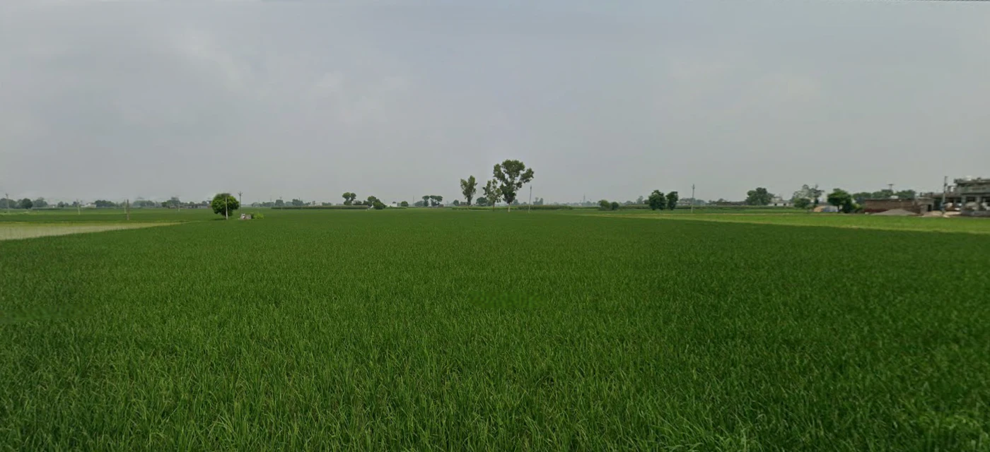 Ghanauli, Punjab 140113, India