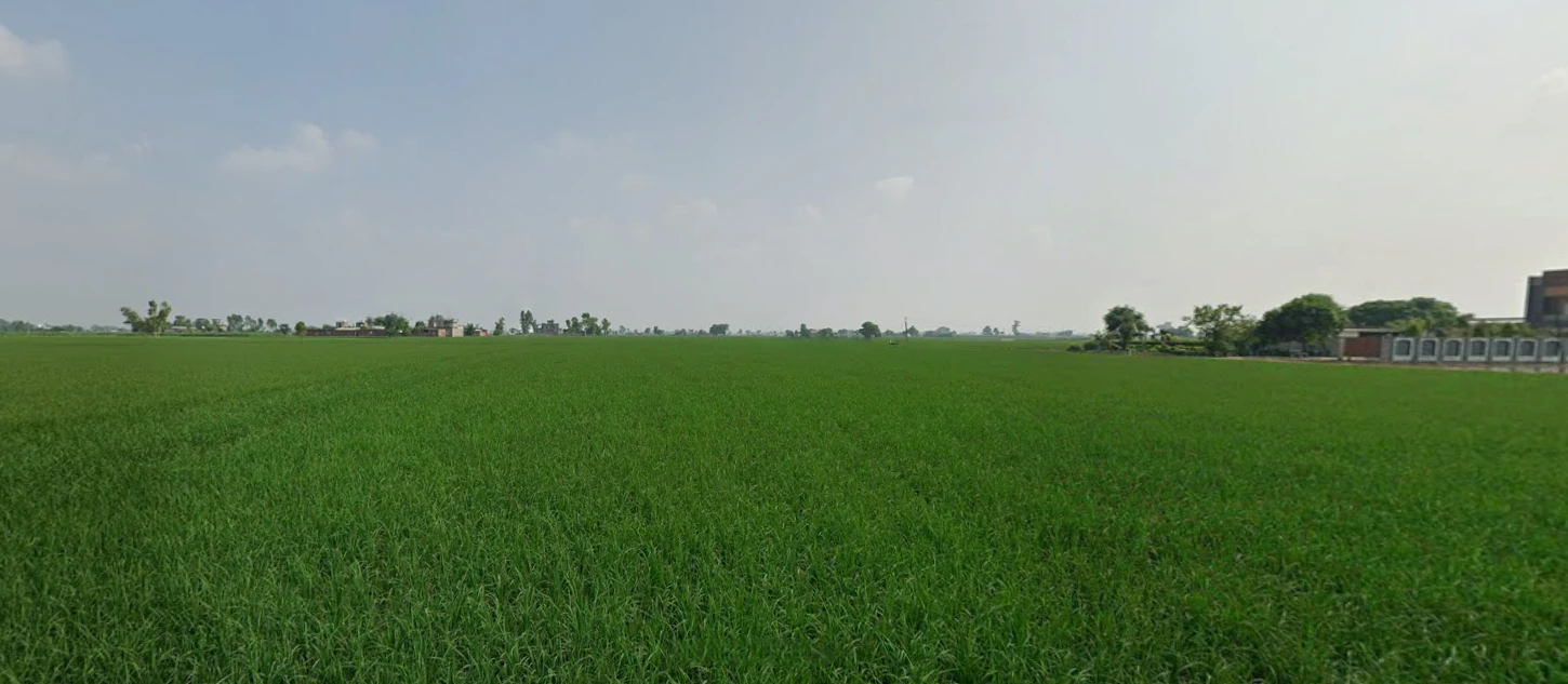 Ghanauli, Punjab 140113, India