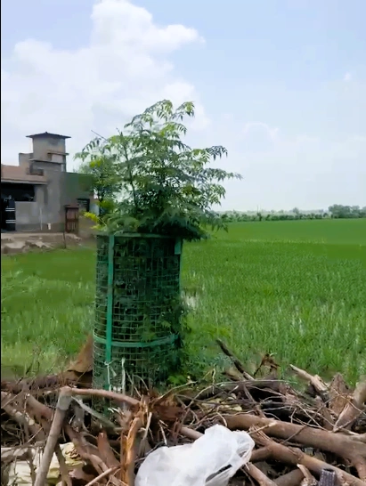 Dabwali, Sirsa, Haryana 125104, India