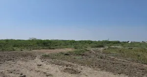 Q9W2+JF8, Pali, Rajasthan 306401, India preview 3