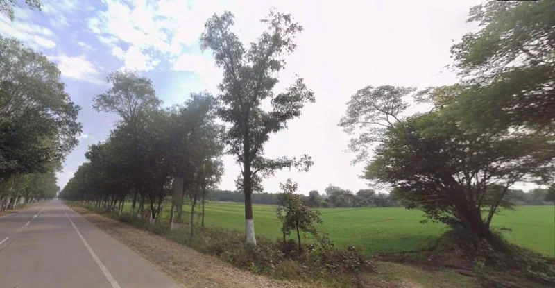 87JP+5Q9, Parwaliya Sadak, Madhya Pradesh 462036, India preview 3