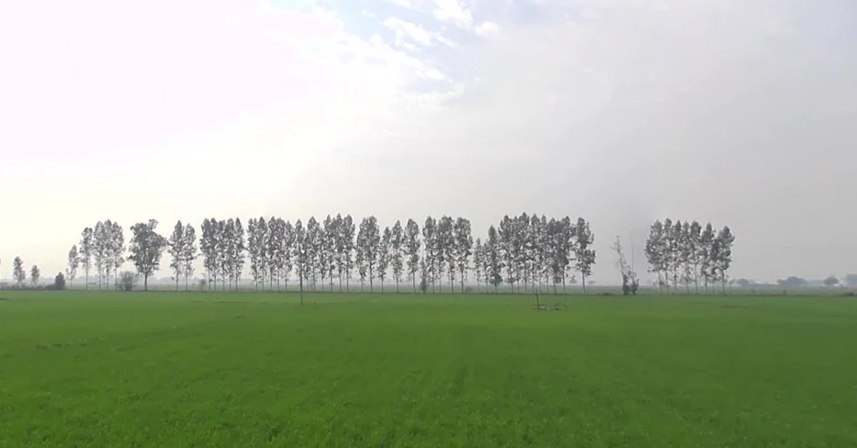 Gadhota, Madhya Pradesh 475220, India