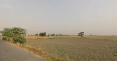 Gabhana, Uttar Pradesh 202136, India preview 2