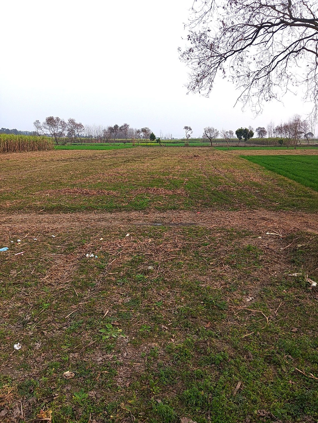 Raisi, Uttarakhand 247671, India