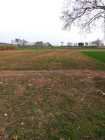 Raisi, Uttarakhand 247671, India preview 2