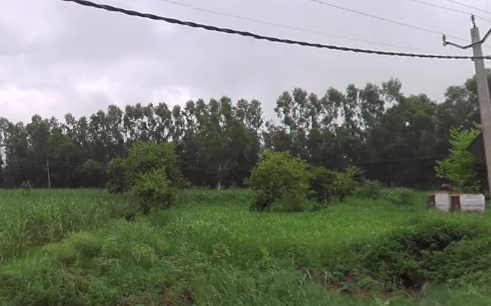 Bhagwanpur, Uttarakhand 247661, India