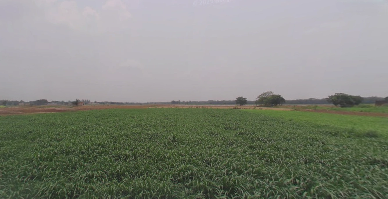 Morinda - Chunni Rd, Bhateri, Punjab, India