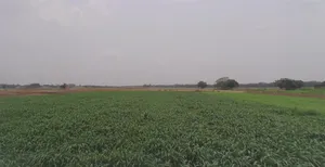 Morinda - Chunni Rd, Bhateri, Punjab, India preview 3