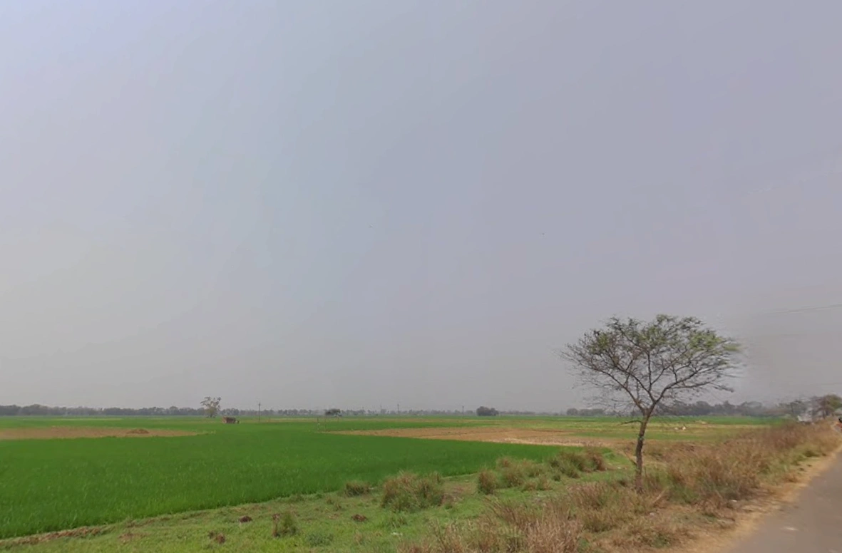 Newtown, Kolkata, West Bengal, India