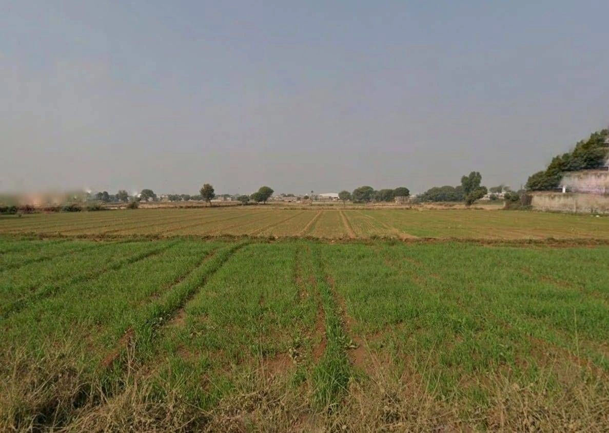 GPG8+WP3, Dhadholi, Rajasthan 301030, India