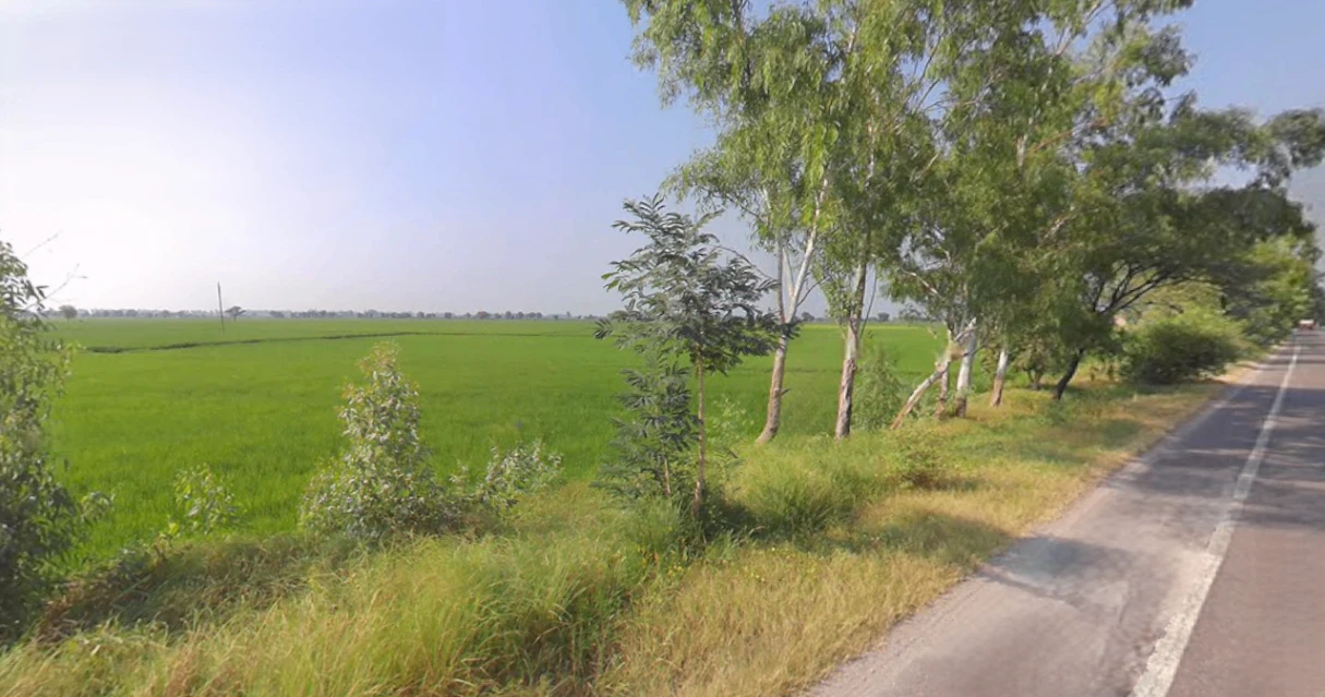 Beri, Haryana 124201, India