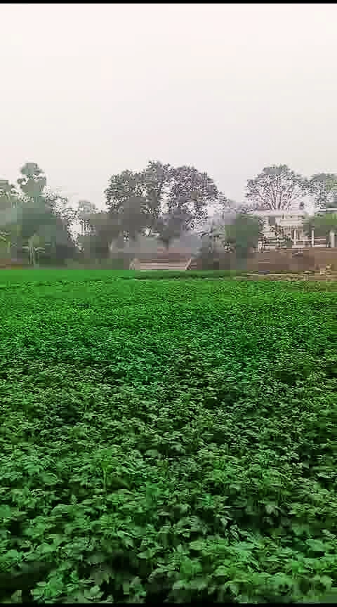 Bhathahi, Bihar, India