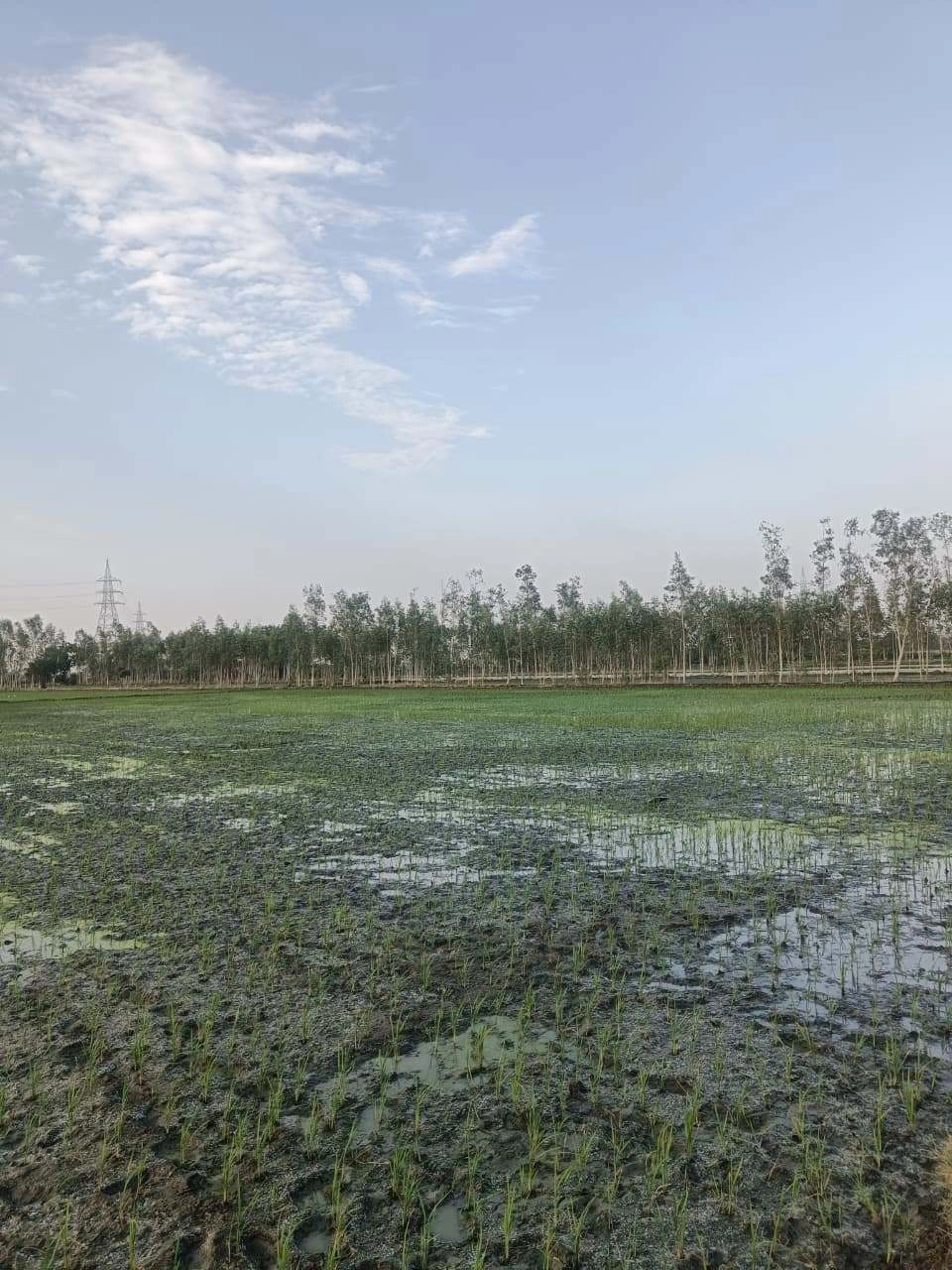 Sankhi, Uttar Pradesh 281401, India