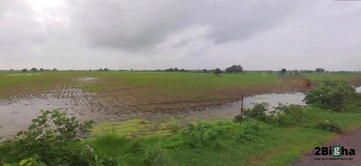 Beri, Haryana 124201, India