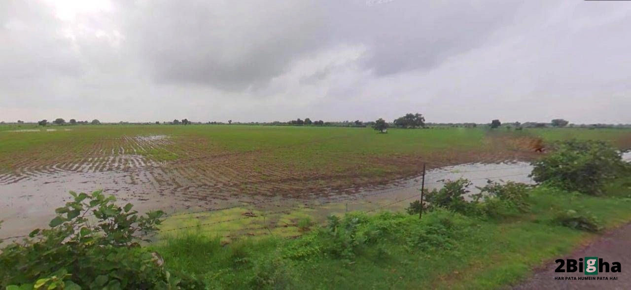 Beri, Haryana 124201, India