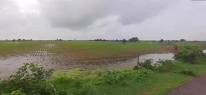 Beri, Haryana 124201, India preview 3