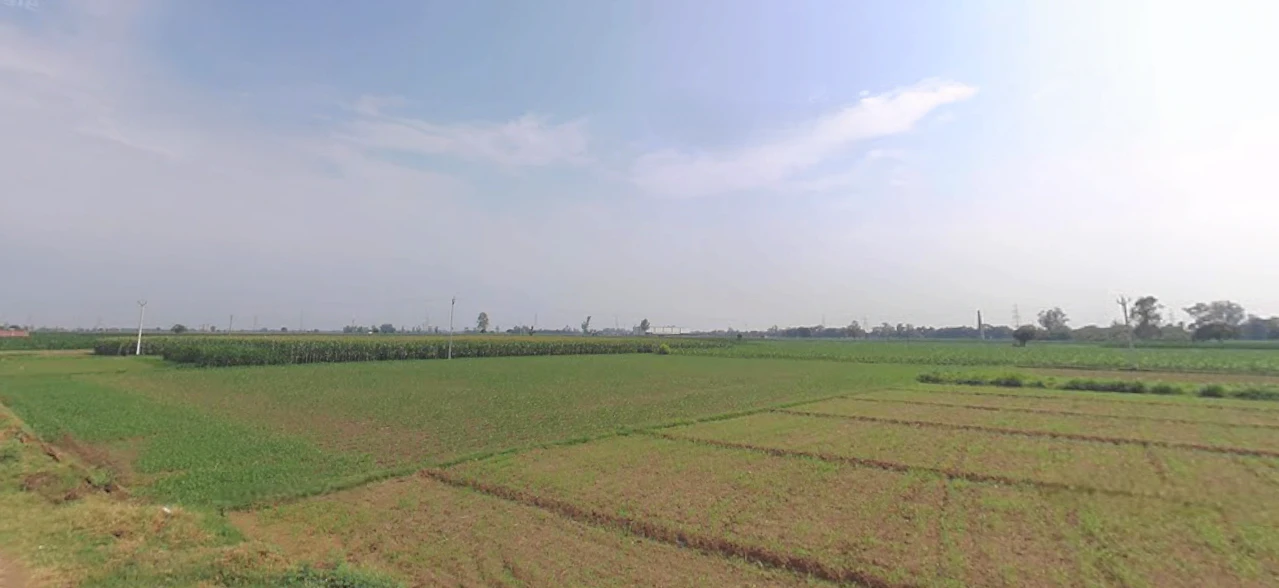 Dhanaura, Uttar Pradesh 244231, India